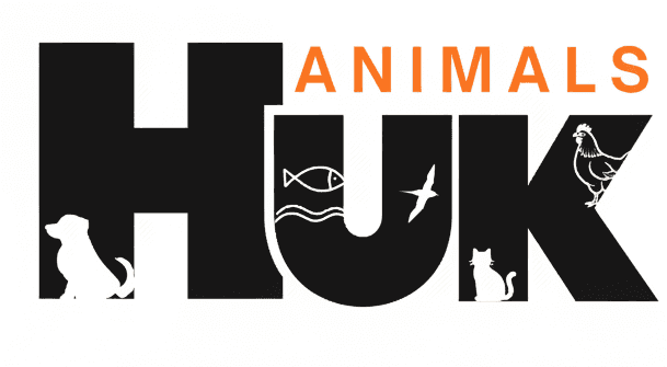 Hukanimals